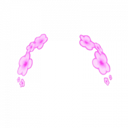 Download Snapchat Flower Crown Transparent Image HQ PNG ...