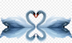 Love Background Heart png download - 2560*1536 - Free ...