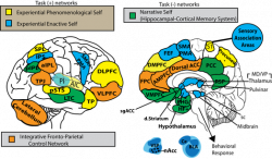 What is Mindfulness? | Contemplative Mind in Life