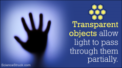 Difference Between Translucent, Transparent, and Opaque ...