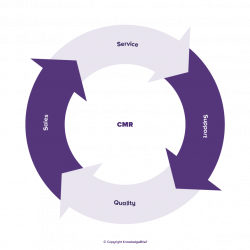 Customer Relationship Management - What is it? Definition ...