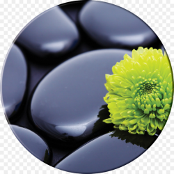 Swimming Cartoon png download - 1061*1061 - Free Transparent ...