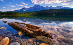 Relaxing Hd Wallpaper Lake Calm Transparent Water Dry Wood ...