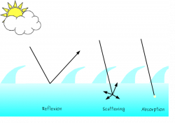 What is water transparency? - Citclops