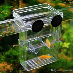 2016 New Transparent Fish Tank Aquarium Incubator Fish Breeding Hatching  Boxes Multifunctional Acrylic Fish Breeding Isolation Box Fish Aquariums  For ...