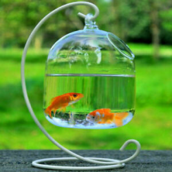 Hanging Transparent Glass Vases Fishbowl Fish Tanks Handmade Aquarium  Decoration