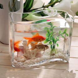 Handmade Glass Transparent Fish Tank Different Types Transparent Fish Tank  - Buy Handmade Fish Tank,Aquarium Fish Tank,Glass Terrarium Product on ...