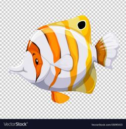 Cute fish on transparent background