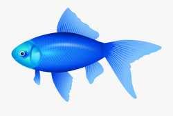 Blue Fish Png Clipart Image - Blue Fish Clipart ...