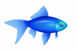 Blue fish PNG image #3925 - Free Icons and PNG Backgrounds