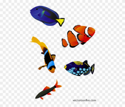 Clip Art Transparent Download Free Colorful Fish Psd - Coral ...