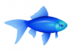 Clipart fish colorful, Clipart fish colorful Transparent ...