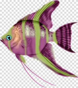 Fish , Colorful fish transparent background PNG clipart ...