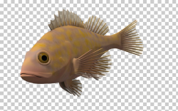 Computer file, Ocean Fish Transparent Background PNG clipart ...