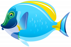 Saltwater fish Clip art - fish png download - 6000*4012 ...