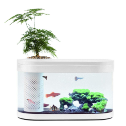 Amazon.com: Docooler Geometry Fish Tank Aquaponics Ecosystem ...