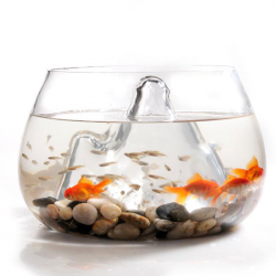 US $27.15 40% OFF|25cm Round Glass Vase Fish Tank Goldfish Aquarium Bowl  Terrarium Decoration Transparent Glass Fish Tank Clear Fish Bowl  Aquarium-in ...