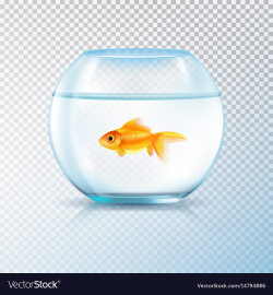Golden fish bowl realistic transparent