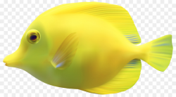 Yellow Background clipart - Fish, transparent clip art