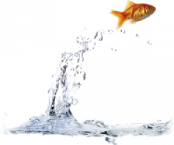 Fish Water Png & Free Fish Water.png Transparent Images ...