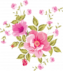 Clipart flower beautiful, Clipart flower beautiful ...