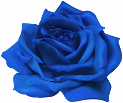 Blue Flower Rose Transparent Image | Gallery Yopriceville ...