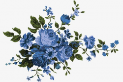 Blue Flowers, Flower, Flowers, Blue PNG Transparent Clipart ...