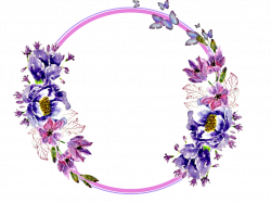 Flower circle png, Flower circle png Transparent FREE for ...