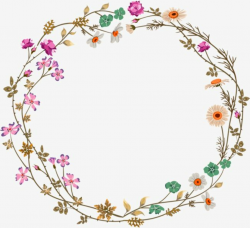 Colorful Simplicity Flower Vine Circle Border Texture ...