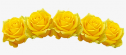 Yellow Flower Crown Png Image Download - Transparent Yellow ...