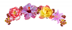 transparent flower crown - Google Search | Flower clipart ...