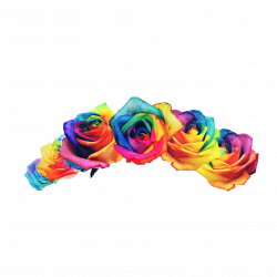rainbow rainbowflower flowercrown pride...