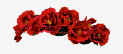 Png Displaying Flower Red Red Transparent Crown For - Flower ...