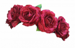 flower #crown #flowercrown - Rose Flower Crown Png ...