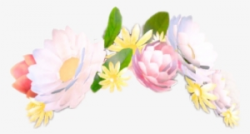 Snapchat Flower Crown PNG, Transparent Snapchat Flower Crown ...