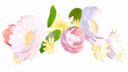 Download Snapchat Flower Crown PNG File 420x238 401 - Free ...
