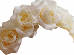 White flower crown png, White flower crown png Transparent ...