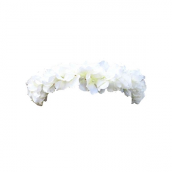 transparent flower crowns ❤ liked on Polyvore featuring ...