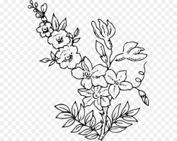 Free Flower Drawing Transparent Background, Download Free ...