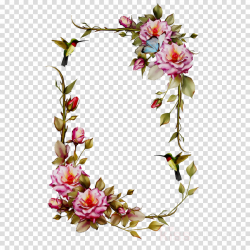 Spring Flowers Frame clipart - Flower, Rose, Plant ...