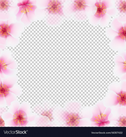 Cherry flower frame with transparent background