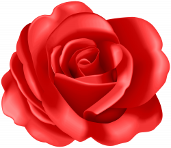 Flower Rose Red Transparent Image | Gallery Yopriceville ...