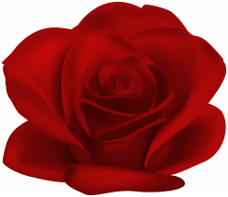 Red Flower Rose Transparent Image | Gallery Yopriceville ...