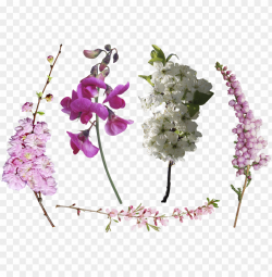 Download hotoshop overlays, photoshop actions, photoshop ...