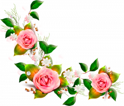 Flower Clip art - peach flowers png download - 800*686 ...