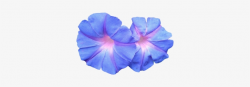 Vaporwave Png Pack - Blue Flowers Png Aesthetic - Free ...