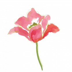 Pin by Riya Nawani on Paintings | Flowers, Transparent ...