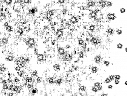 Stars GIF - Find & Share on GIPHY