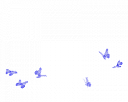 Upload Stars - 4-13 transparency fluttering butterfy blue gif