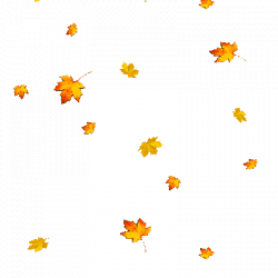 Fall-leaves-transparent-gif-3 – The Poo Pros | Pet Waste ...